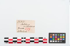 Etiketten zu Bronzebrillenfibel (NHMW-PRAE-024821)